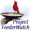 Project FeederWatch  cardinal photo by C.C. Lockwood